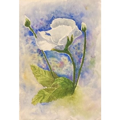 Biała róża, Bohomazy Obrazy, obrazy akwarela