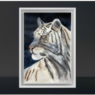 Akwarela A4 Biały tygrys