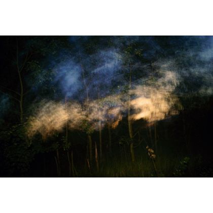 Pozornie mroczny zagajnik przed świtem., Dariusz Żabiński, fotografia artystyczna