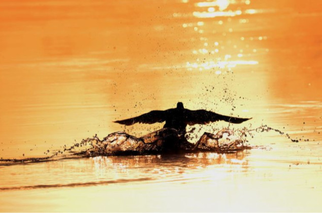 Dariusz Żabiński ; Rzeka pełna emocji.