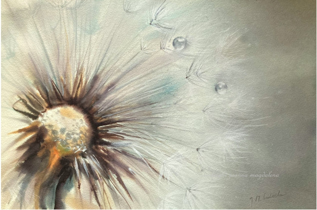 Joanna Magdalena ; Niuanse