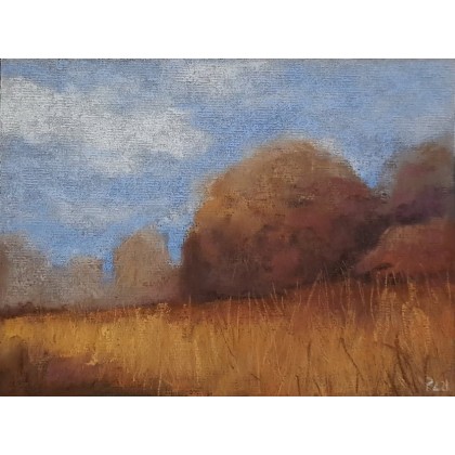 Pejzaż -praca wykonana pastelami, Paulina Lebida, pastele suche