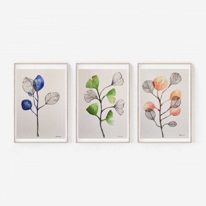 Rośliny -  trzy akwarele, Paulina Lebida, obrazy akwarela