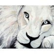 white lion