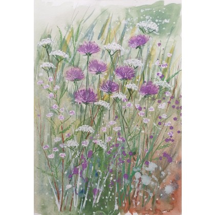 Lato na łące - akwarela bez oprawy, Jolanta Zdanowicz, obrazy akwarela