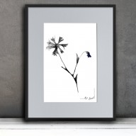 GRAFIKA 126 - chabry