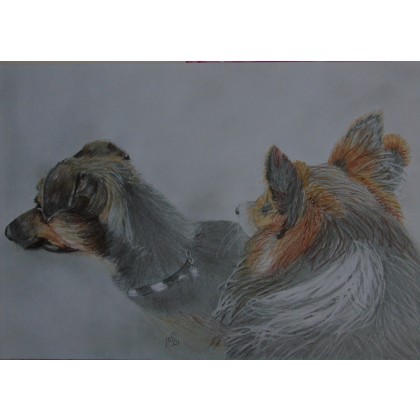 Maria Woithofer  - rysunek ołówkiem - Rysunki zwierząt na zamówienie foto #2