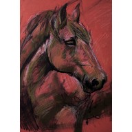 RYSUNEK PORTRET KONIA 1 W RAMCE