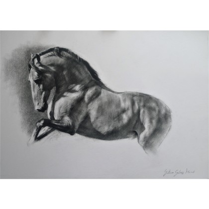 Koń I, GUSTAVO GALVEZ MIRO, rysunek węglem