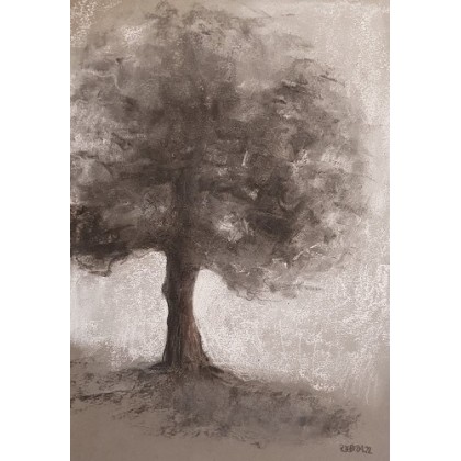 Paulina Lebida - rysunek węglem - Drzewo -rysunek węglem foto #1