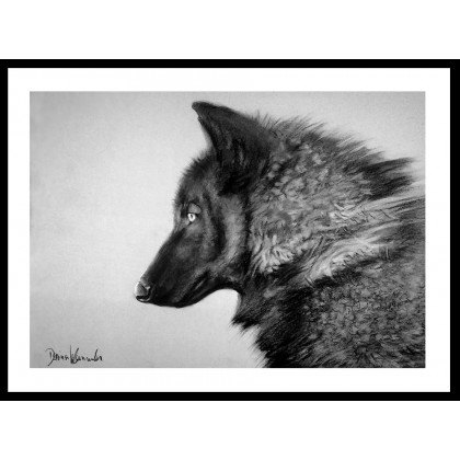 Dariusz Kaźmierczak - rysunek węglem - Czarny wilk foto #2