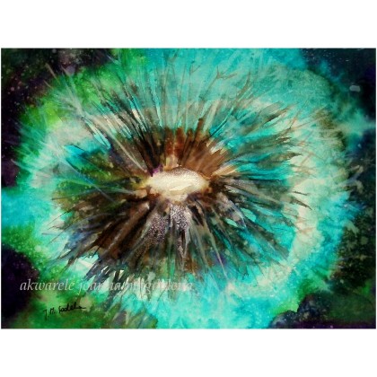 Supernova, Joanna Magdalena, obrazy akwarela