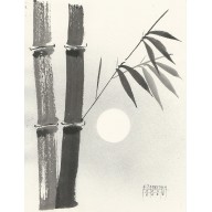 Bambus 5