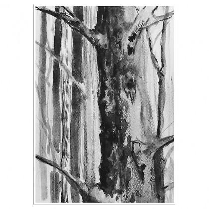 Drzewa - grafika, Daria Górkiewicz, rysunek tuszem