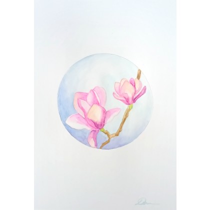 Magnolia, Róża Lewandowska, obrazy akwarela