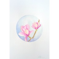 MAGNOLIA