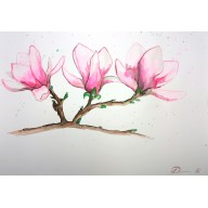 MAGNOLIA