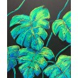 Monstera