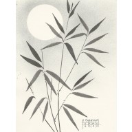 Bambus 22