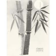 Bambus 6