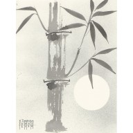 Bambus 36