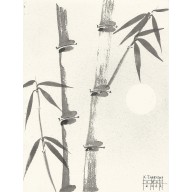 Bambus 28