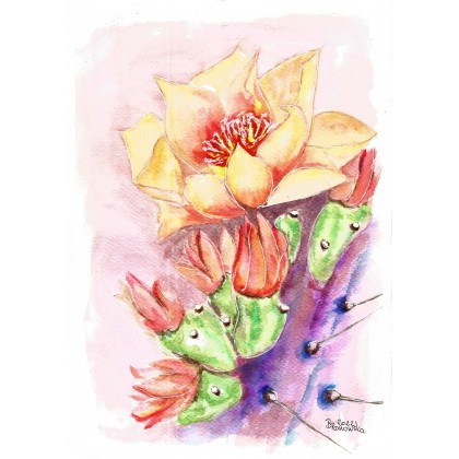 Kwiat kaktusa, Bożena Ronowska, obrazy akwarela