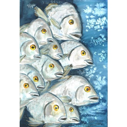 Ławica ryb, Bożena Ronowska, obrazy akwarela