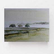 Drzewa -akwarela  formatu 32/24 cm