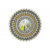 Mandala sukulenty