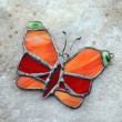 Motyl w pomarańczach