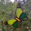 Motyl w zieleniach