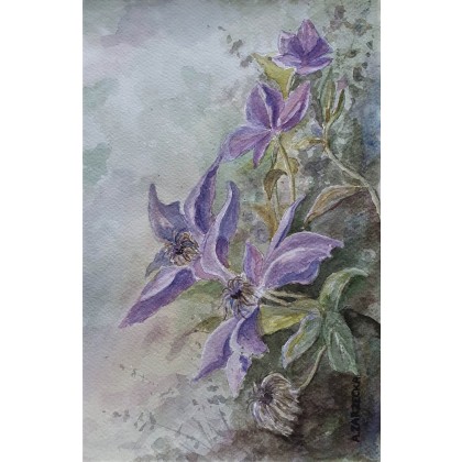 Clematis, Agnieszka Zarzecka, obrazy akwarela