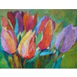 Tulipany kwiaty obraz olejny 60 x 80