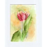 Tulipany - obraz akwarelowy