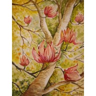 MAGNOLIE