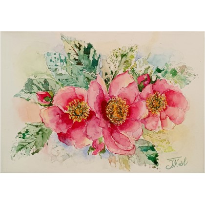 Kwiaty dzikiej róży, Akwarela A4, Joanna Tomczyk, obrazy akwarela