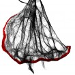 Grafika z ramą - nr 140 - Flamenco