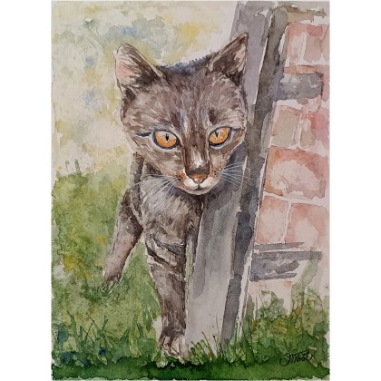 Kociak, Akwarela 24 x 32 cm., Joanna Tomczyk, obrazy akwarela