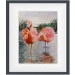 Flamingi, Akwarela 24 x 32 cm