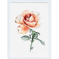 Róża - obraz akwarelowy