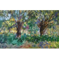 WIERZBY WZK , 80X120