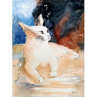 KOTEK ODPOCZYWAJĄCY, AKWARELA 24 X 32 CM.