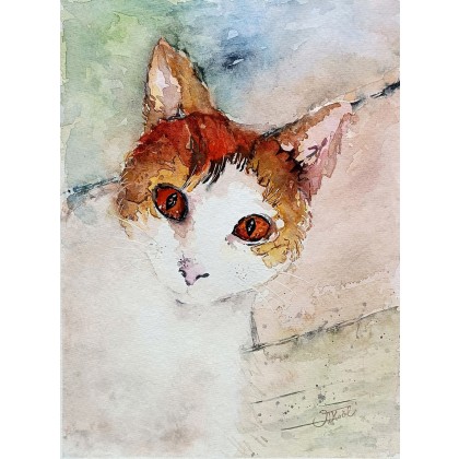 Portret kotki, Akwarela 24x32 cm., Joanna Tomczyk, obrazy akwarela