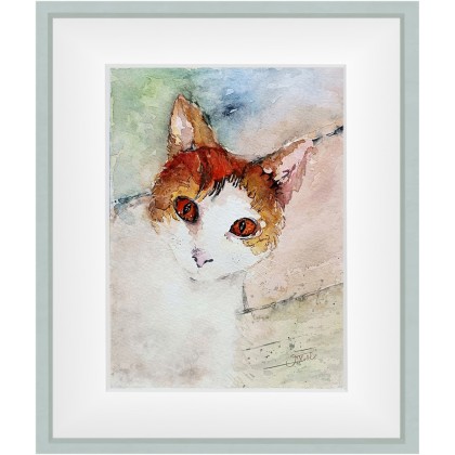 Joanna Tomczyk - obrazy akwarela - Portret kotki, Akwarela 24x32 cm. foto #1