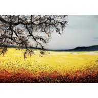 YELLOW MEADOW
