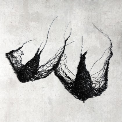 Maja Gajewska - instalacja - Instalacja przestrzenna - dwa ptaszki foto #2