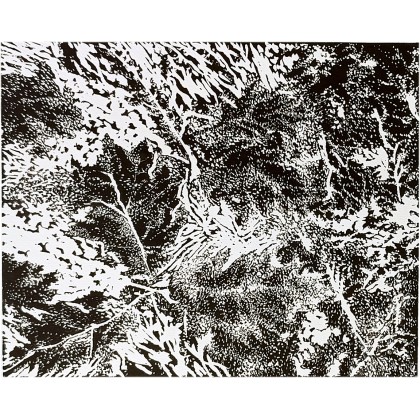 Natura w grafice, Grafika, 21 x 17 cm., Joanna Tomczyk, grafika warsztatowa