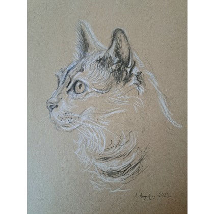 Szary kot, Amelia Augustyn, rysunek ołówkiem
