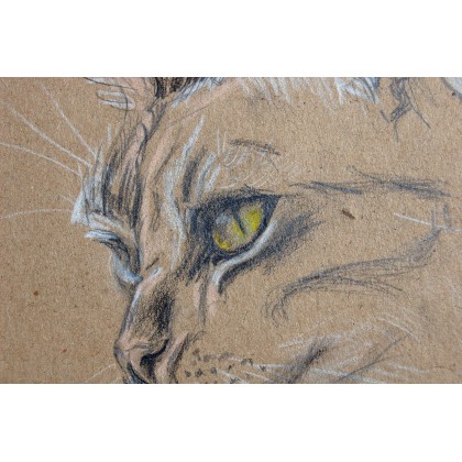 Amelia Augustyn - rysunek ołówkiem - Kot w ogrodzie foto #3